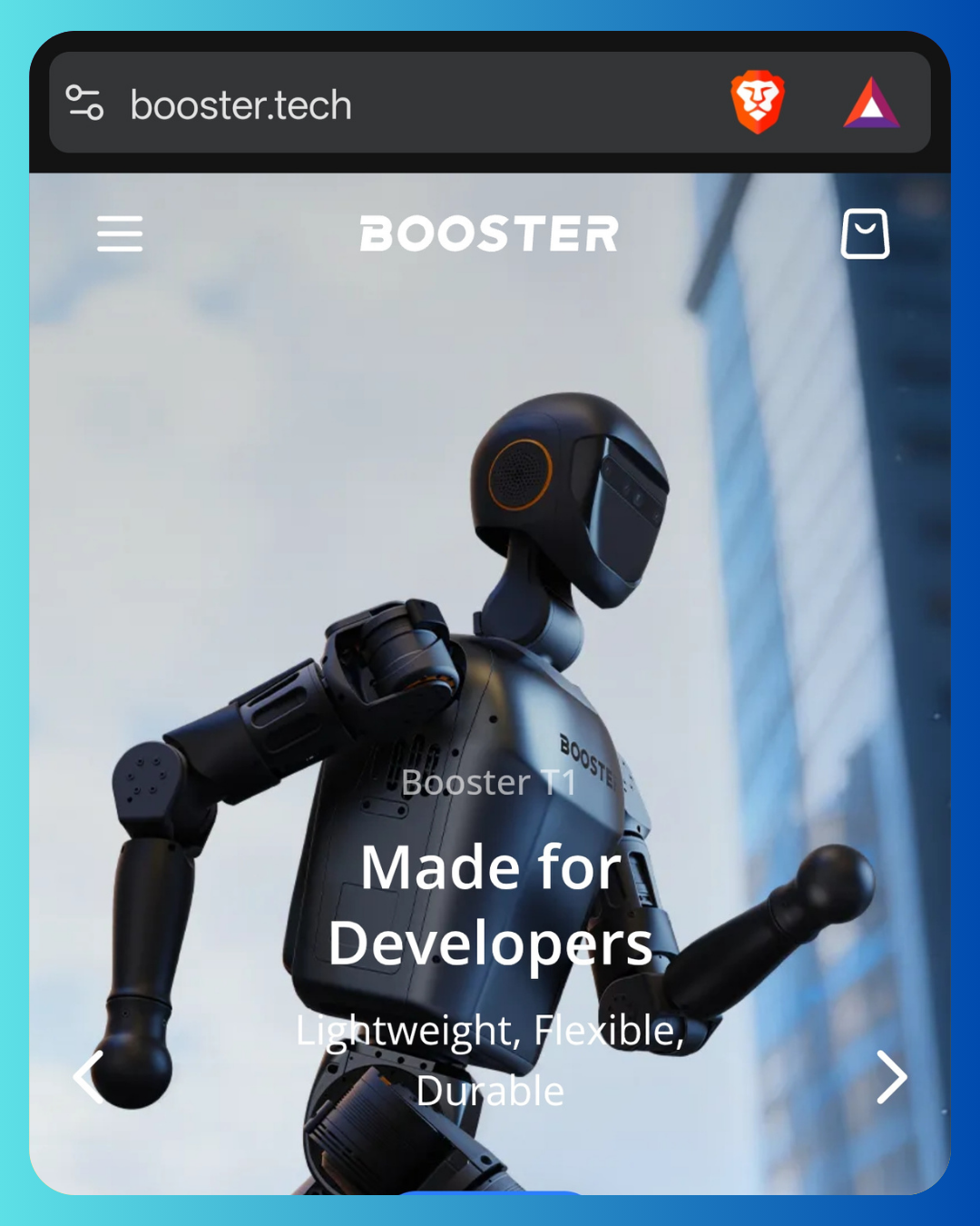 Booster Robotics